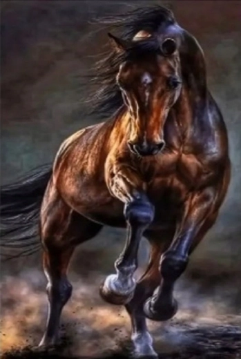 Norimpex pittura con diamanti cavallo selvaggio 30 × 40 cm