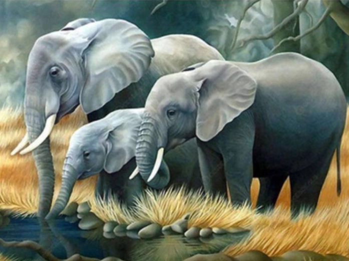 Norimpex Dipingi con i numeri Famiglia di elefanti al fiume 40 × 50 cm
