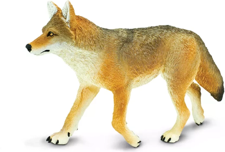 Safari Ltd. statuetta di coyote - 1 pezzo