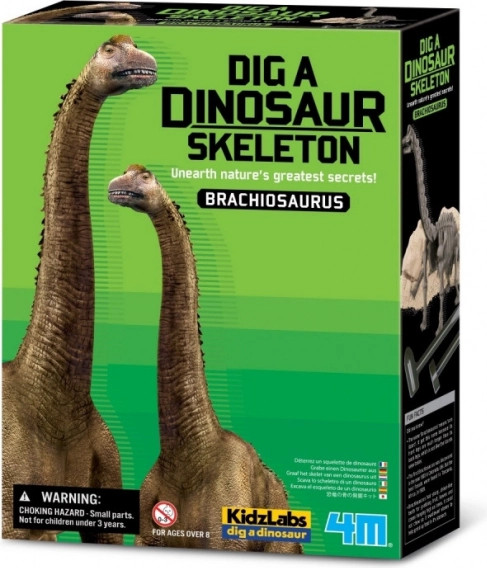 Set per scavi - Brachiosaurus