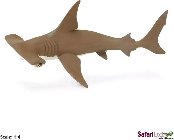 Safari Ltd. cucciolo di squalo martello bronzo