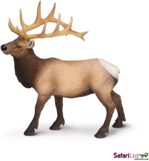 Safari Ltd. Figurina di wapiti occidentale