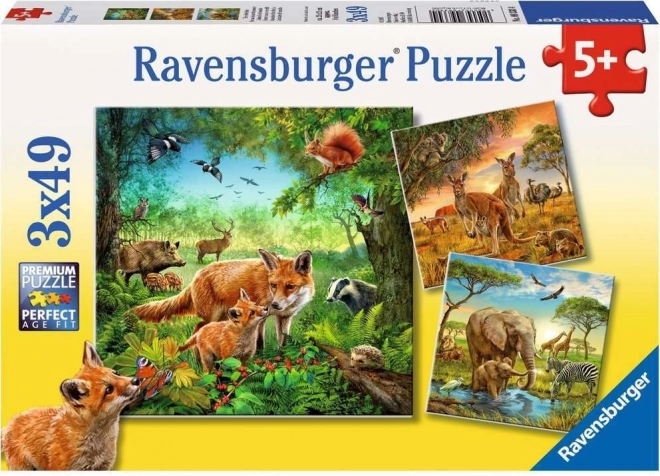 Puzzle Ravensburger Animali 3×49 pezzi