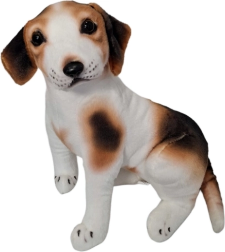 Cane di peluche bianco-marrone - 1 pezzo