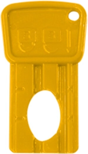 Chiave di accensione per veicolo elettrico per bambini Ride-on Power Drag - 1 pezzo
