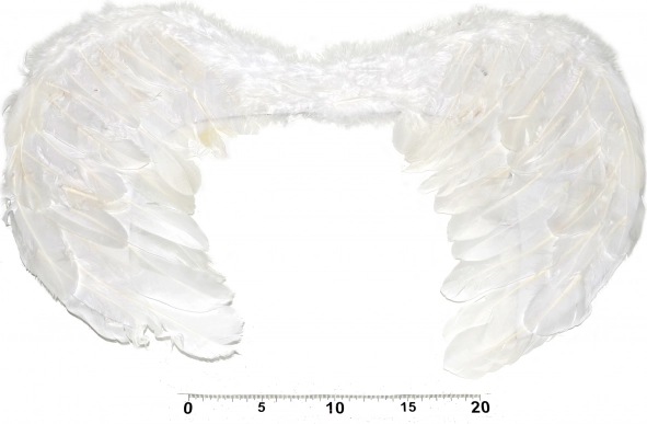 Ali d'angelo per costume