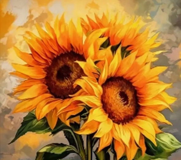 Norimpex Dipingi con i numeri Tre girasoli 40 × 50 cm