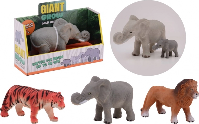 Animale selvatico che cresce