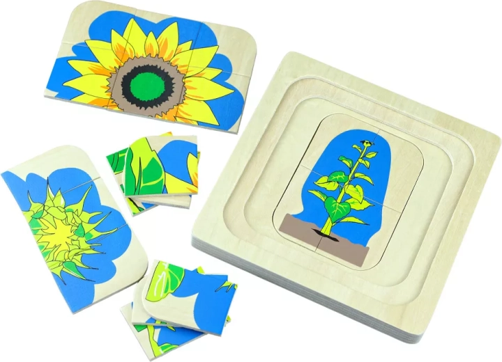 Puzzle di legno multistrato Ciclo vitale del fiore