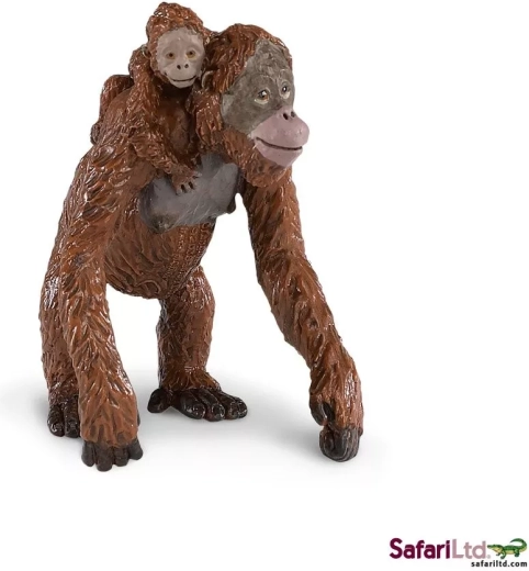 Orango con cucciolo