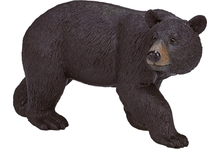 Figura realistico di orso