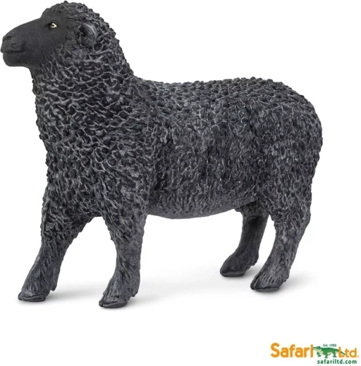 Pecora nera - 1 pezzo