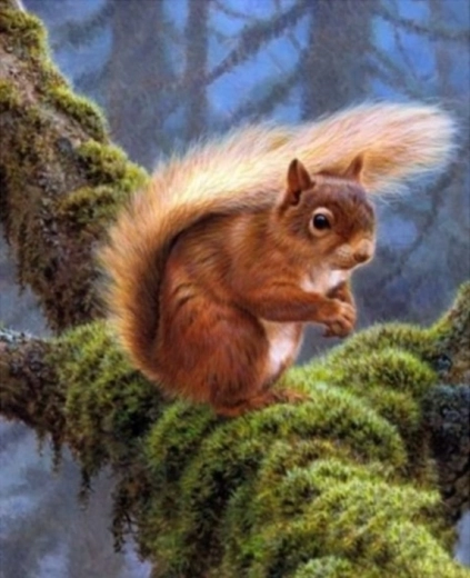 Pittura diamantata – scoiattolo sul ramo 30 × 40 cm