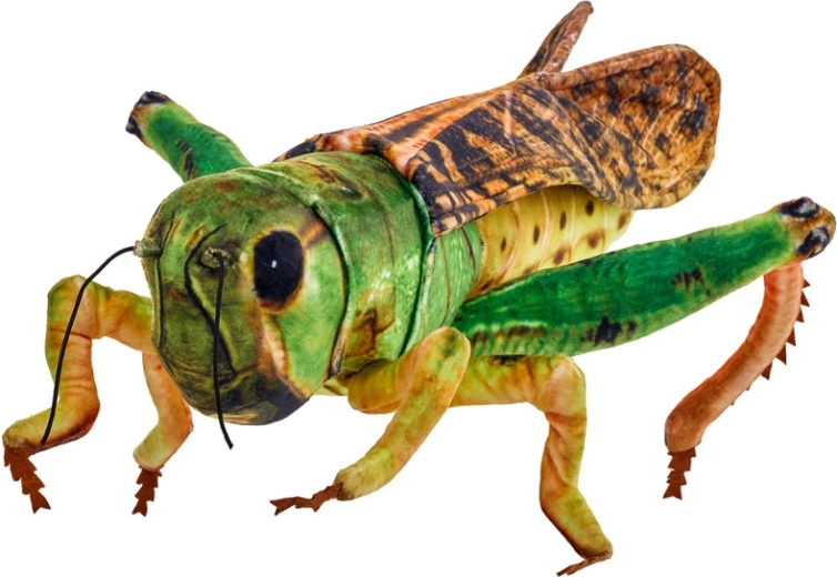 Cavalletta di peluche 41 cm