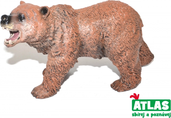 Figura orso bruno