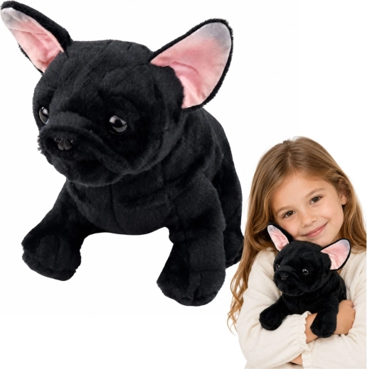 Bulldog francese di peluche nero 22 cm