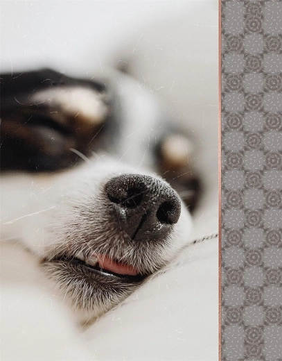 Album fotografico CONCORDE per 64 foto 10 × 15 cm