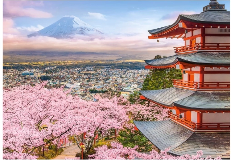 Puzzle Castorland Primavera in Giappone 500 pezzi