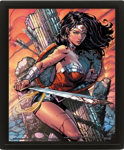 Quadro 3D Wonder Woman duello