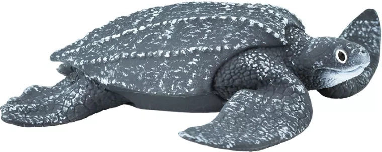 Tartaruga liuto Safari Ltd. - 1 pezzo