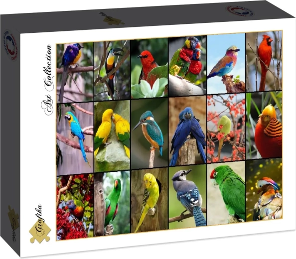 Puzzle Grafika Gli uccelli più belli del mondo, 1500 pezzi