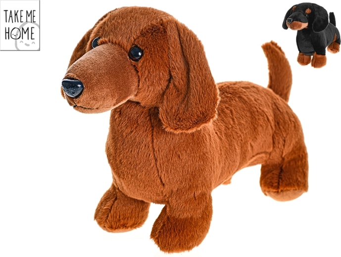 Bassotto di peluche 36 cm Take Me Home