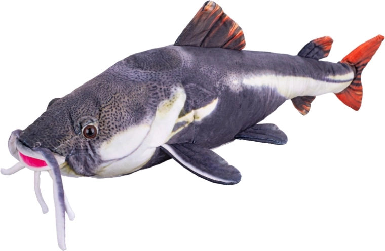 Pesce gatto di peluche 56 cm