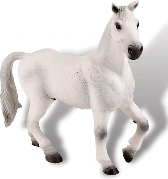 Valacco oldenburgese bianco