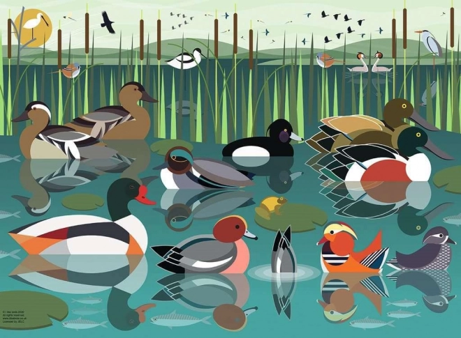Puzzle uccelli acquatici 500 pezzi
