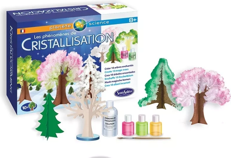 Sentosphere fenomeno della cristallizzazione – foresta magica