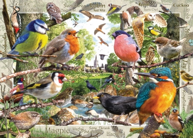 Puzzle Ravensburger I nostri amici piumati 1000 pezzi