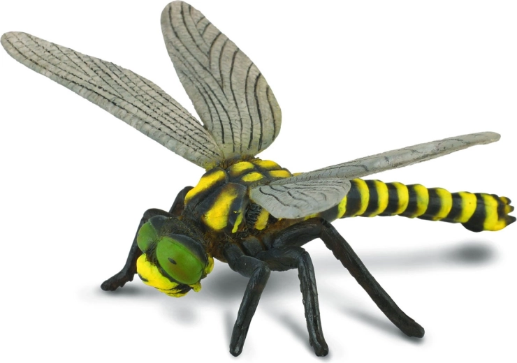 Figura da collezione Libellula