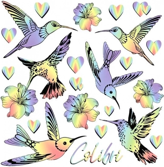 Immagini termoadesive colibrì arcobaleno – foglio piccolo 15 × 21 cm
