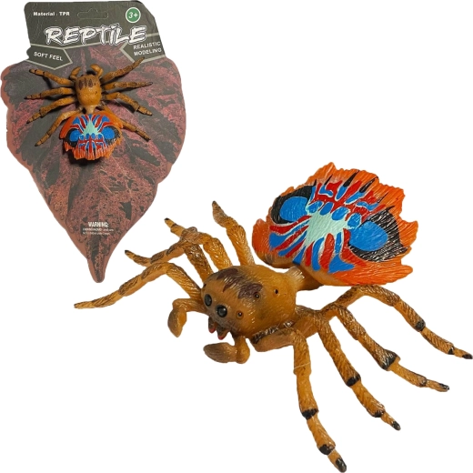 Natura viva: modello realistico di ragno pavone (peacock spider) 10 cm