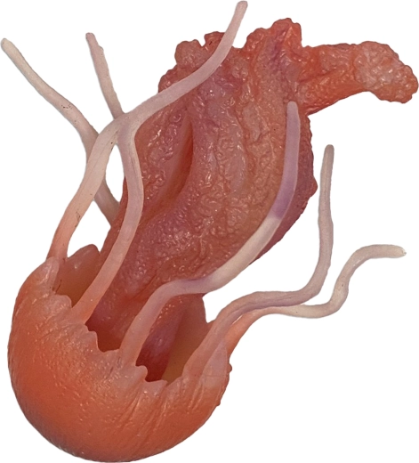 Medusa di gomma 10 cm – giocattolo per vasca da bagno e piscina