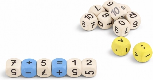Dadi didattici di matematica Wissner (16 pz)