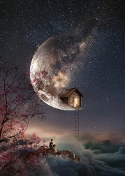 Puzzle Sussurri di sogni 1000 pezzi