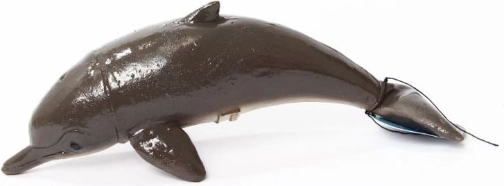 Delfino 21 cm