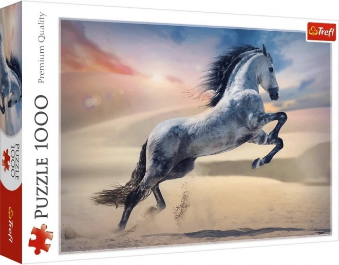 Puzzle 1000 pezzi Cavallo Maestoso