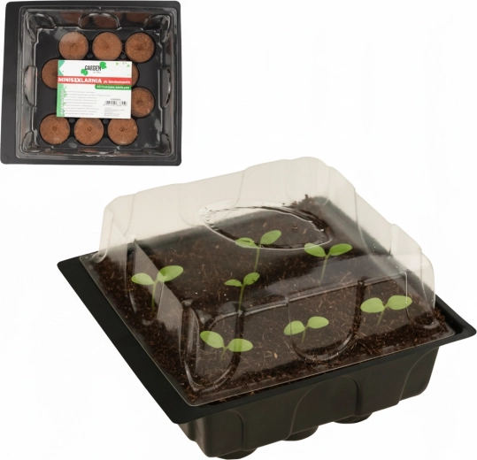 Set per la germinazione – mini serra con 12 compresse di torba