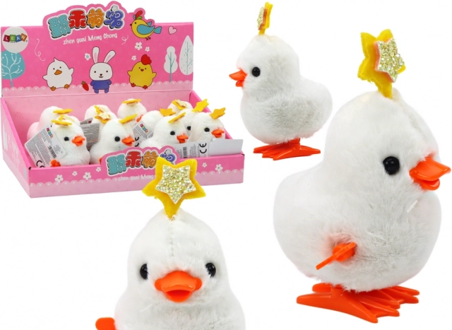 Galletto Scattante a Carica con Stellina