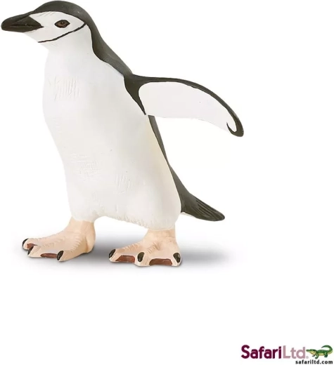 Pinguino antartico (chinstrap)