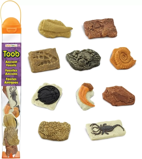 Safari Ltd. Toobs tubo fossili