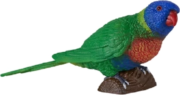 Pappagallo arcobaleno Mojo