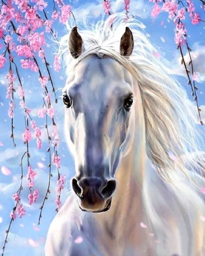 Norimpex Pittura con numeri cavallo bianco sotto rami rosa 40 × 50 cm