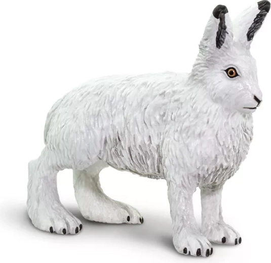 Lepre artica Safari Ltd. - 1 pezzo