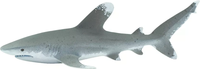 Figura di squalo longimanus Safari Ltd. - 1 pezzo