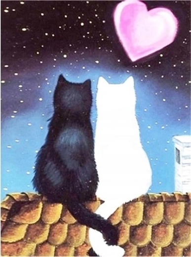Norimpex pittura con diamanti Amore felino 30 × 40 cm