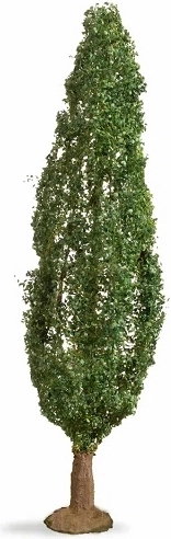 Pioppo NOCH (Master Tree) 18 cm