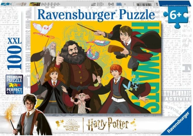 Harry Potter: giovane mago puzzle 100 pezzi